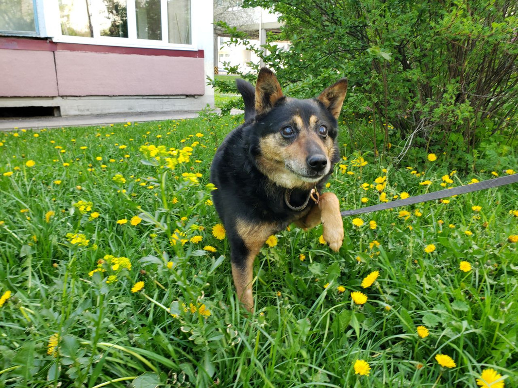 photo_2_2023-05-04_22-35-48 — копия