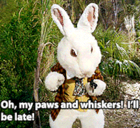 rabbits-rabbits-everyhare-alt1.gif