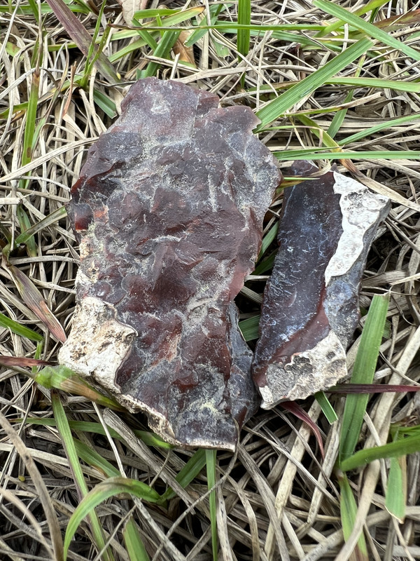 62782BAA-D2D2-45A7-80F8-87EE49BA144A