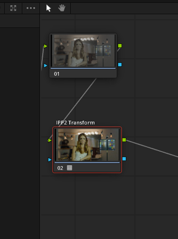 ipp2-node.png
