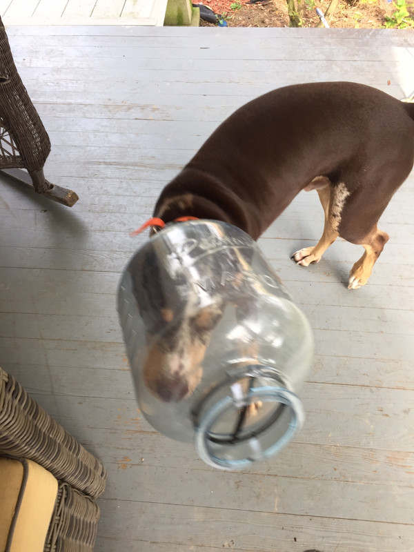 8A80B67B-B4D2-4767-8F85-F6C44BEA29A0