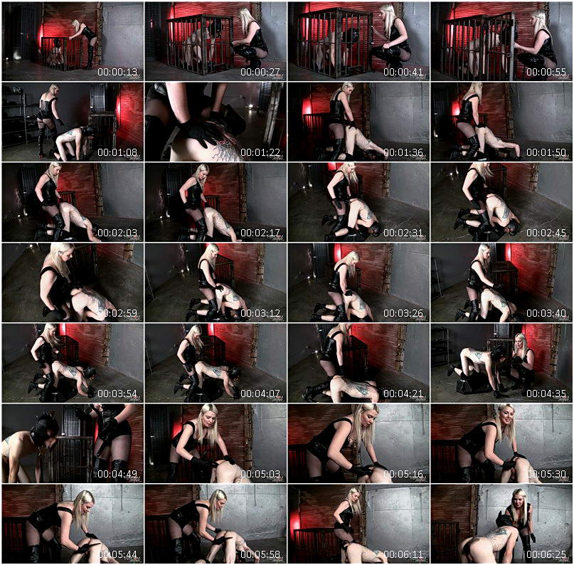 handjob_milking_femdom_3461.wmv