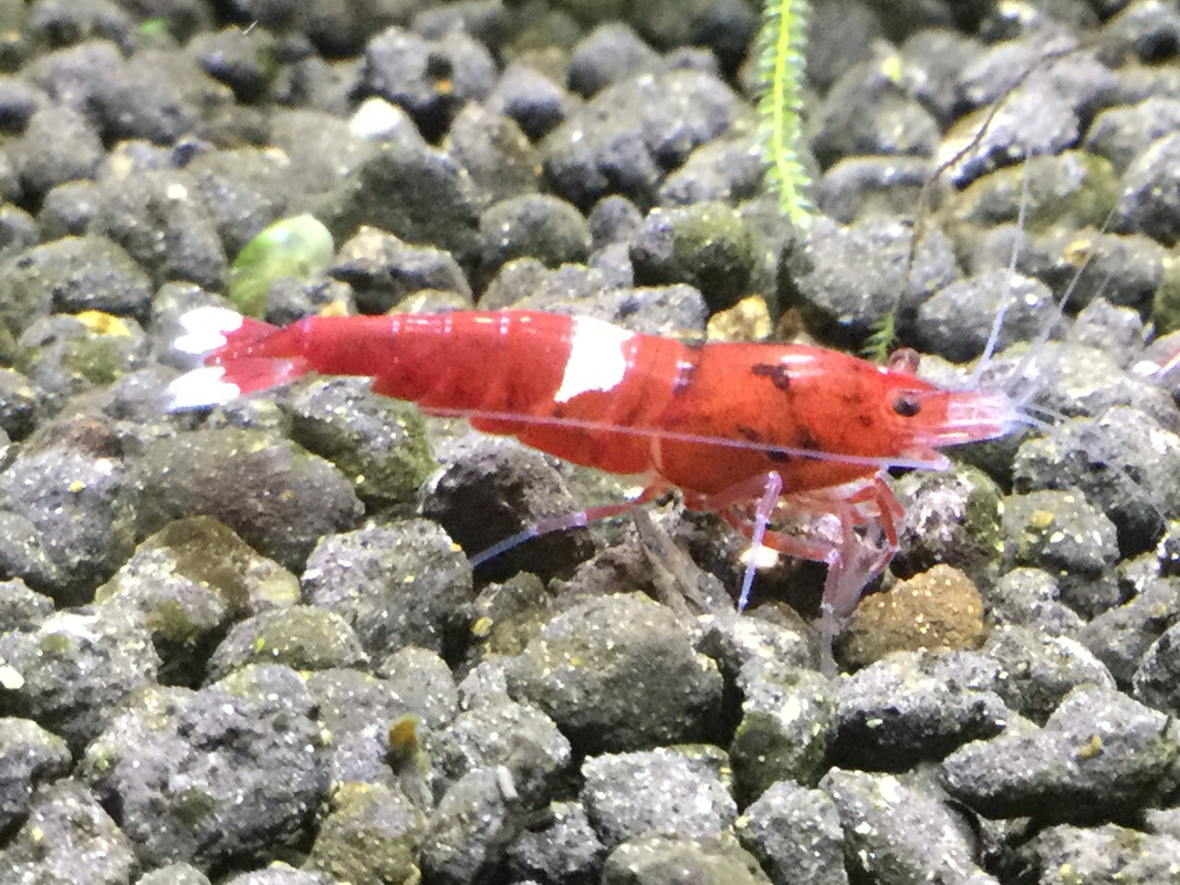 D13A0BCF-776D-4F05-8C8C-1D2AA15A4237