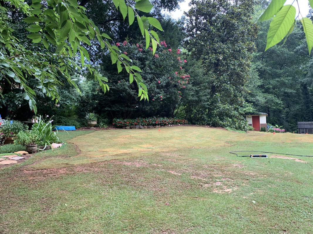 0C65F453-D072-4D95-AA2F-FFCEA54CA52B