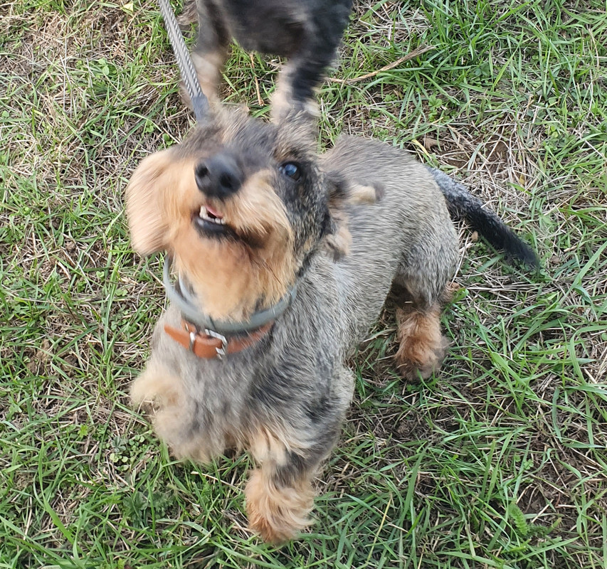 [Image: 20201023-174537.jpg]