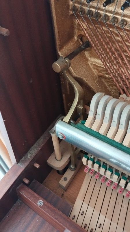 ca5a352b-5670-11ef-abc9-573de3042ee3