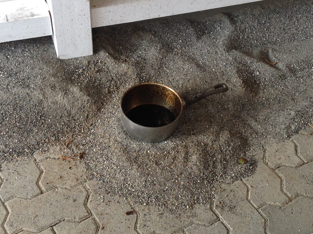 Vespa crabro germana 4. Sept 2015  (6)