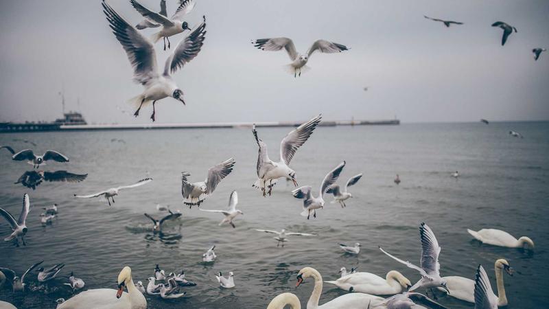সাইবার নিরাপত্তা সচেতনতা: অনলাইনে নিরাপদ থাকার উপায়