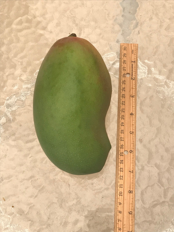 52AC3EA5-46C2-4A7A-AA04-4F1AEB20100F