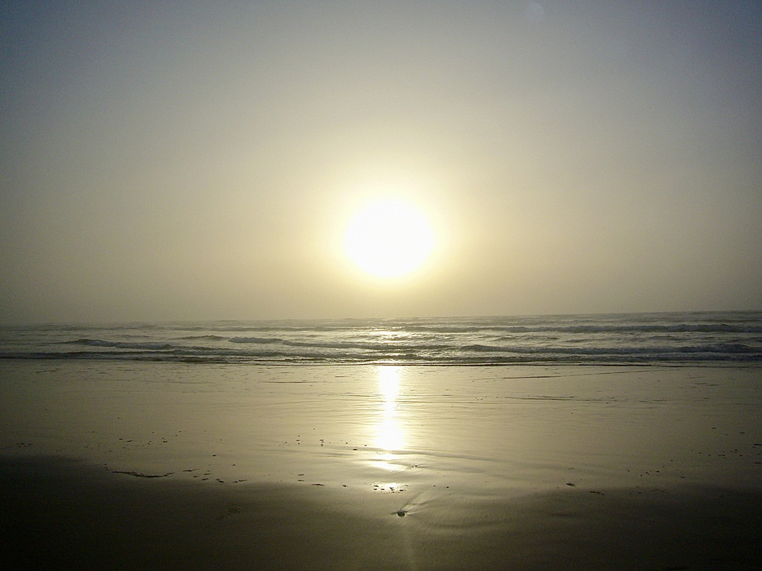La Plage Blanche (Sidi Ifni) y Fort Boujeriff, Naturaleza-Marruecos (26)