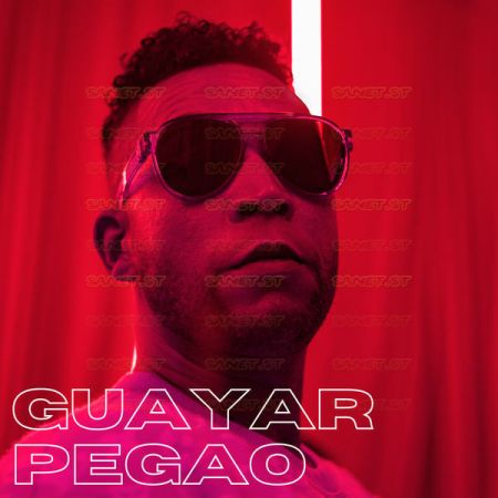 Download Don Omar Guayar Pegao 2021 Mp3 320kbps Pmedia Torrent 1337x