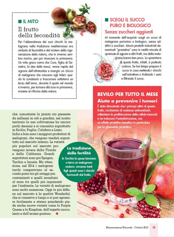 Alim Nat Ott 2016 (10)