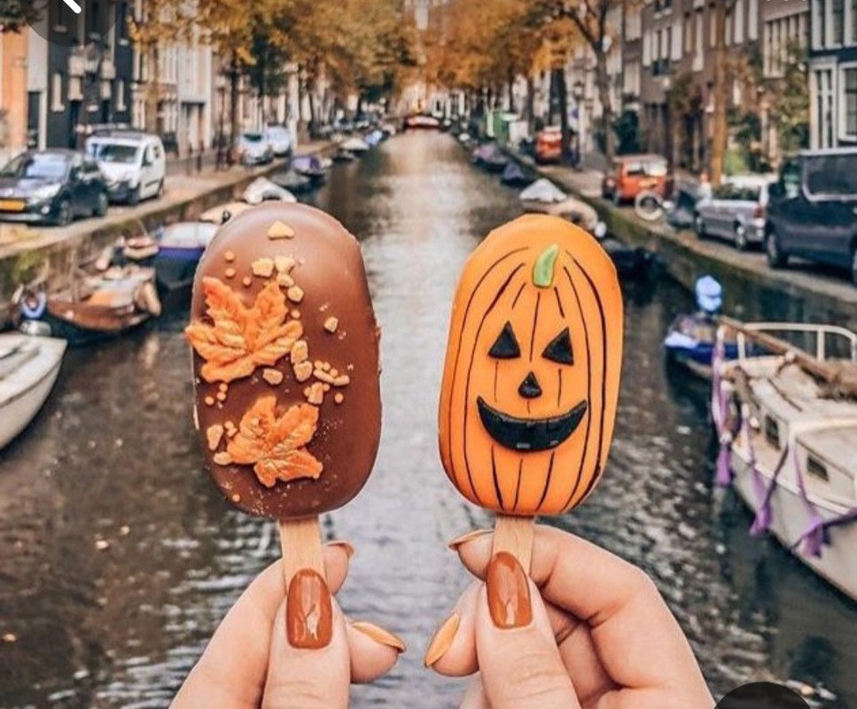 Screenshot_20231112_155105_Pinterest