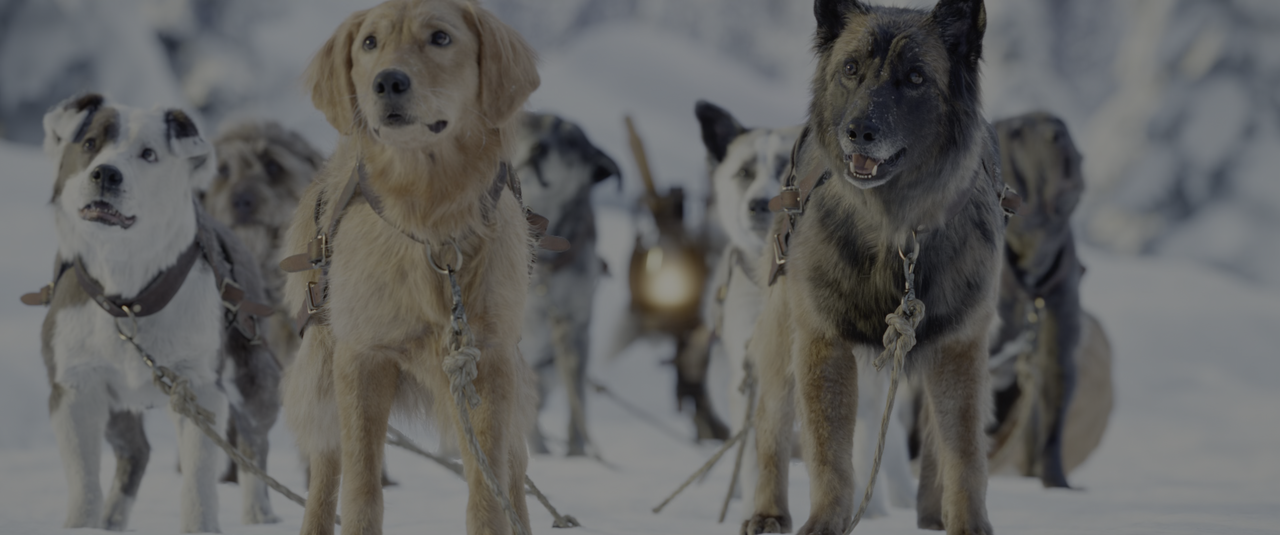 Il richiamo della foresta (2020) [BluRay Rip 2160p HEVC 10bit-HDR ITA-ENG AC3-SUBS] [M@HD].mkv_snaps