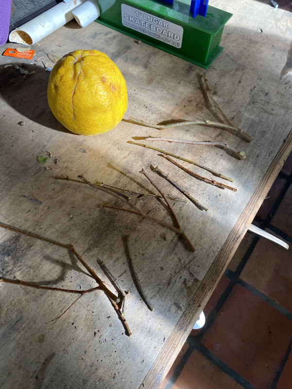 BD77DFBB-08D9-4DAF-9C27-C1797ACF1179