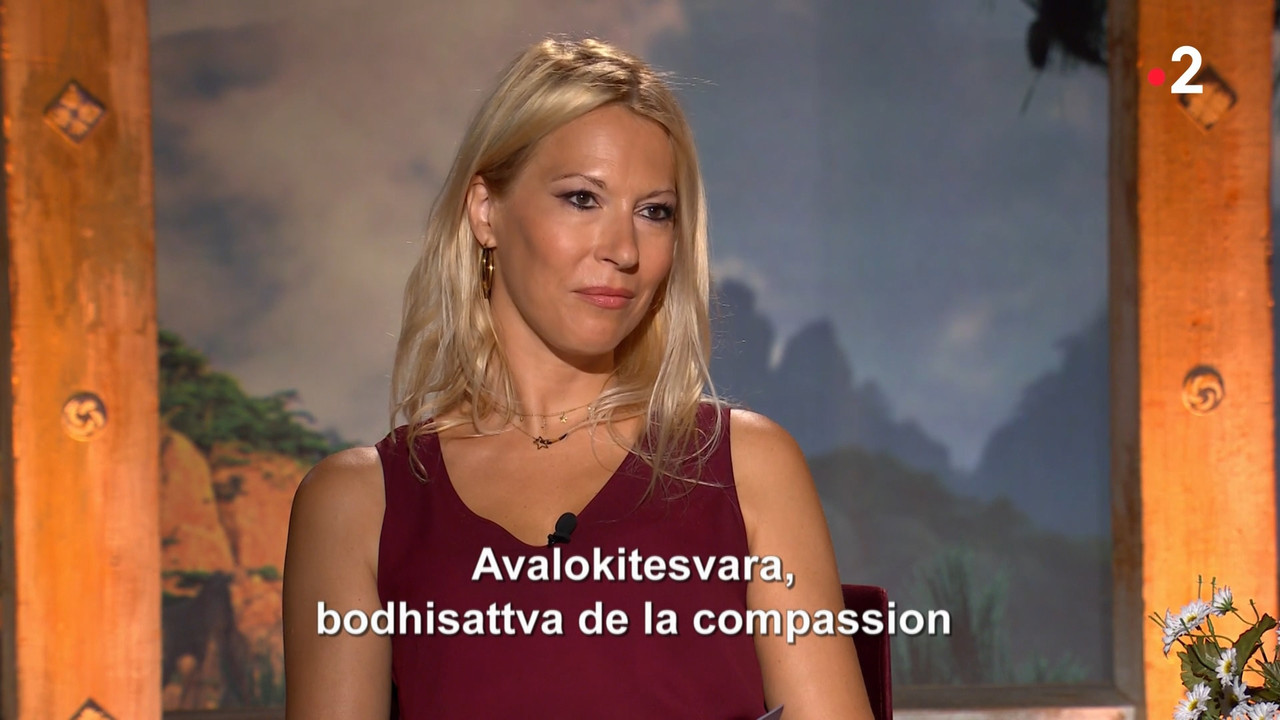2020-08-09_08_30_Fr2_Sagesses-bouddhistes_Le-parcours-extraordinaire-de-Tenzin-Pal.mp4_snapshot_19.1