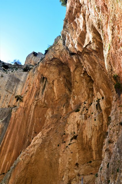 DESFILADERO DE LOS GAITANES (CAMINITO DEL REY)-8-3-2017 - Málaga y sus pueblos-2009/2017 (48)