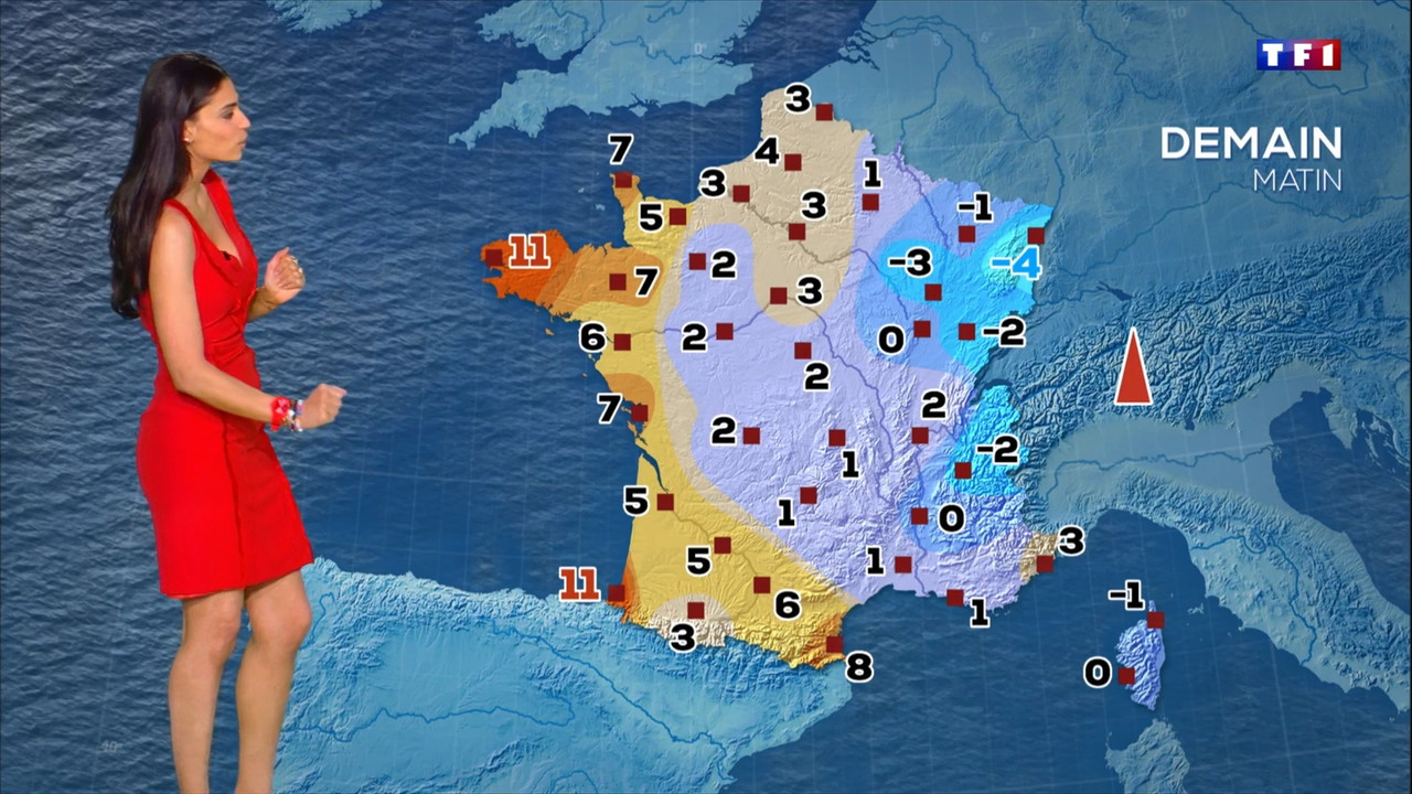 2021-02-14_20_00_TF1_Le-20h.mp4_snapshot_00.02.23.175