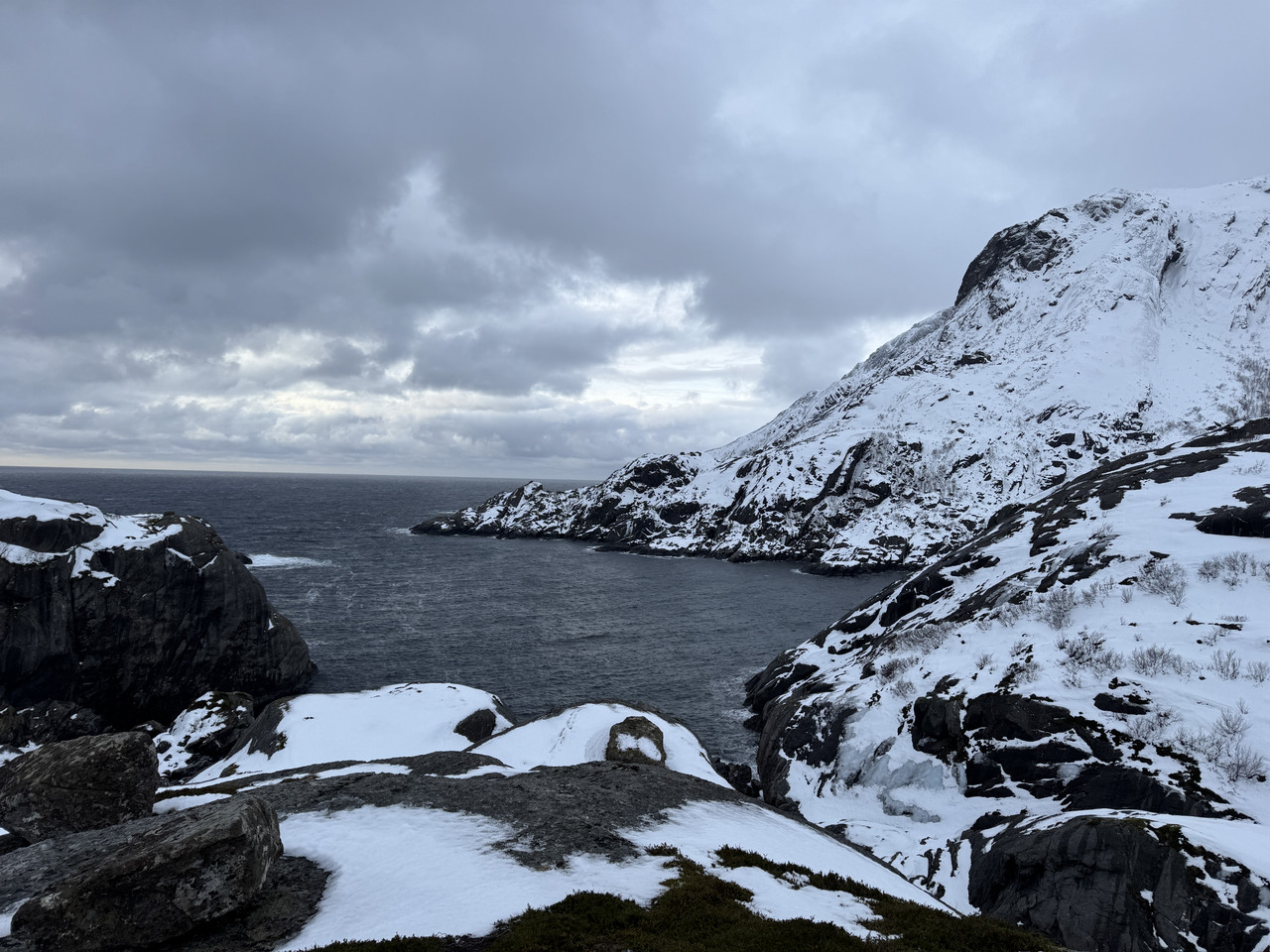 [Immagine: IMG-8819.jpg]