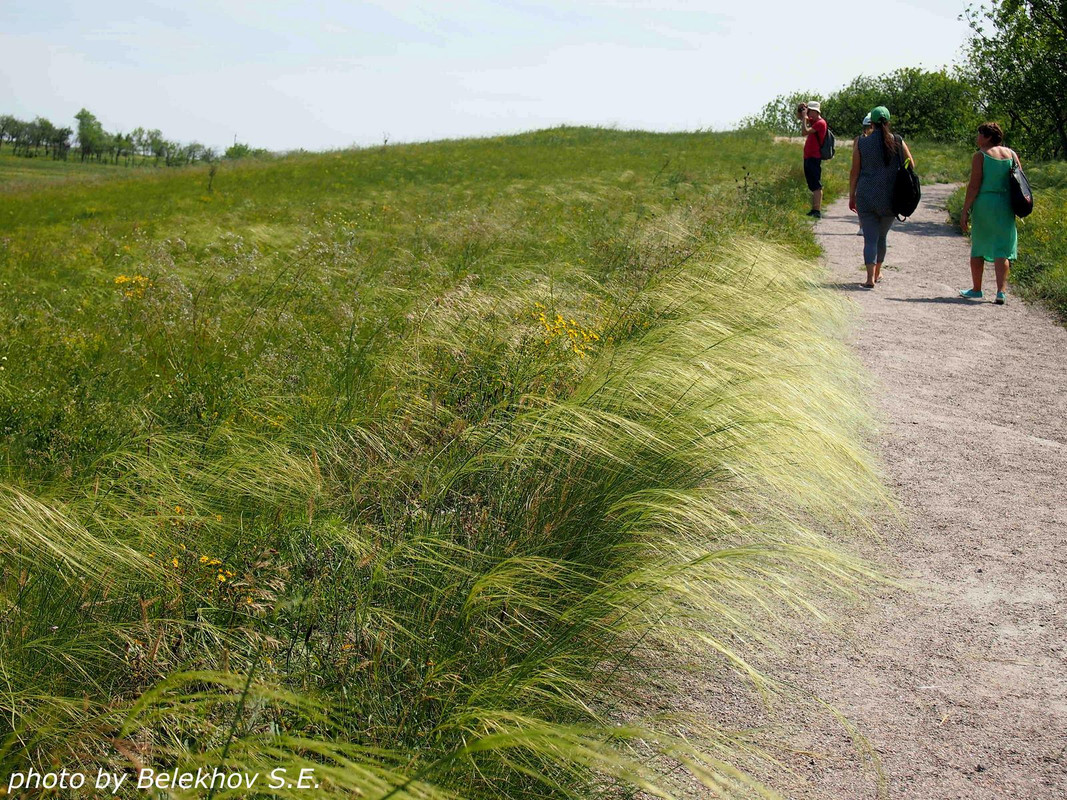 Дивногорье