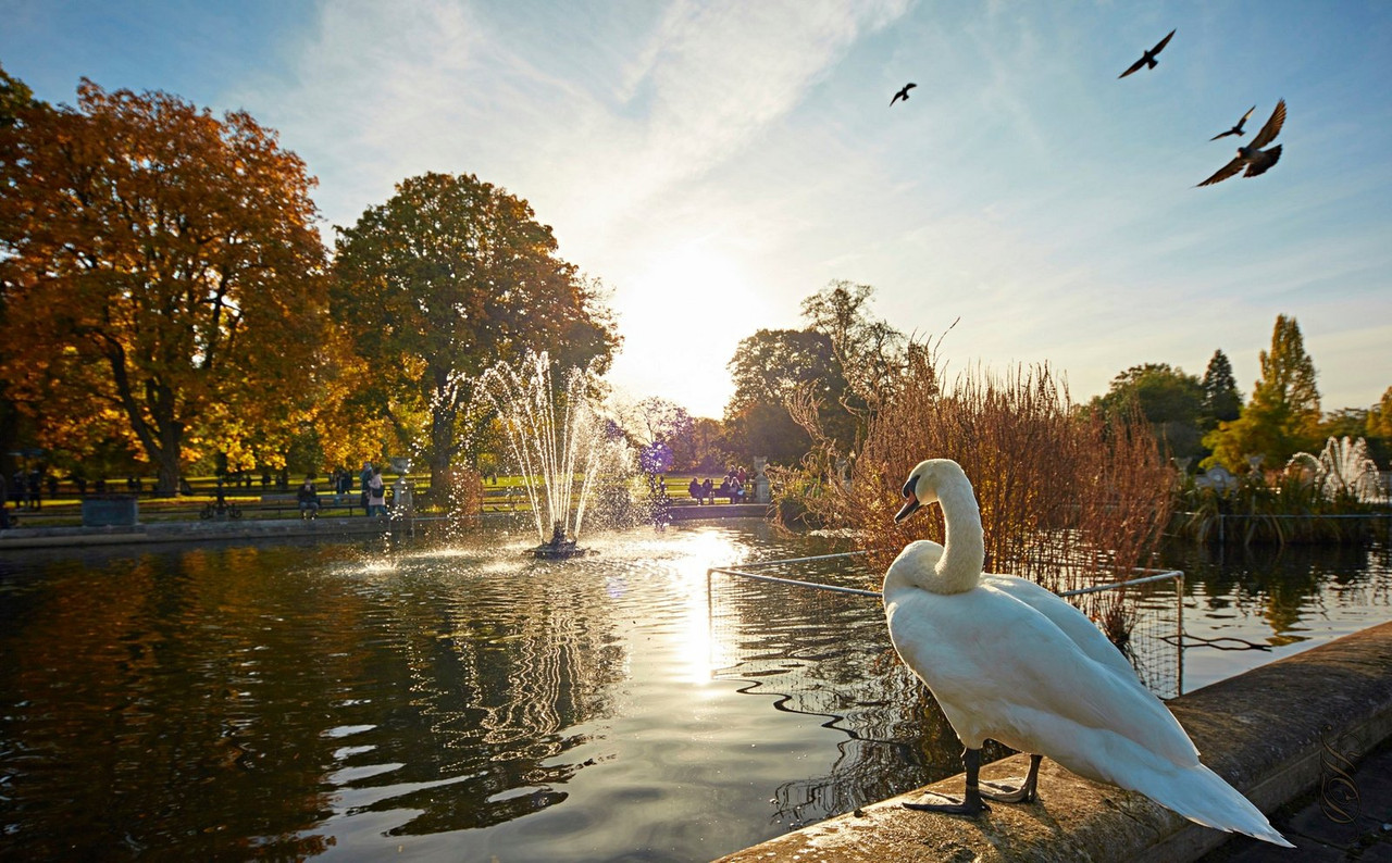 white-goose-river-HD.jpg