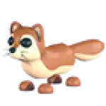 Mongoose