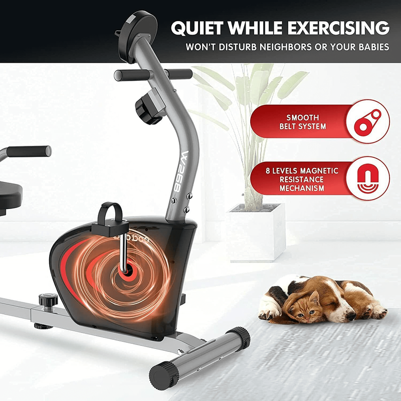 recumbent stationary bike