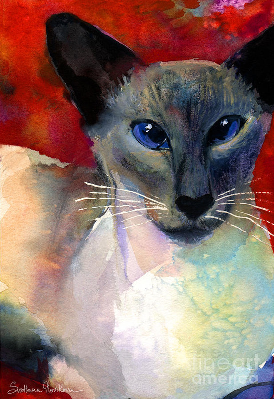 13-whimsical-siamese-cat-painting-svetlana-novikova