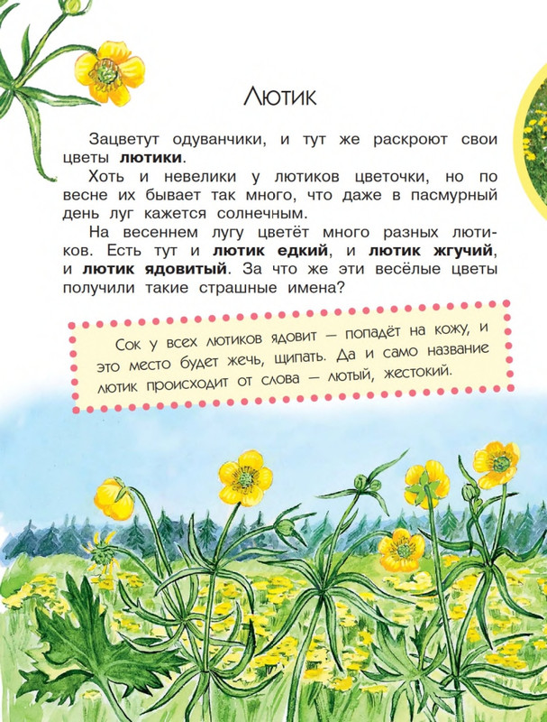 Onegov-Anatolij-Pochemu-kukushka-slozki-lot-page-0011