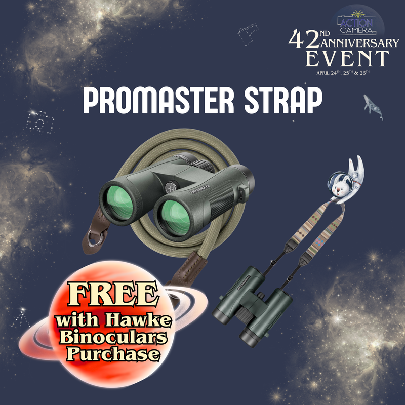 Sale 9