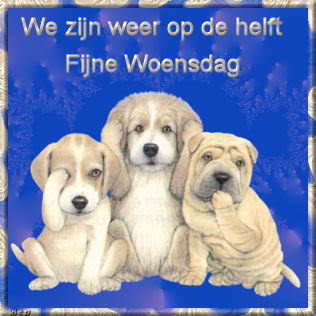 Dagen-woensdag-0112.jpg