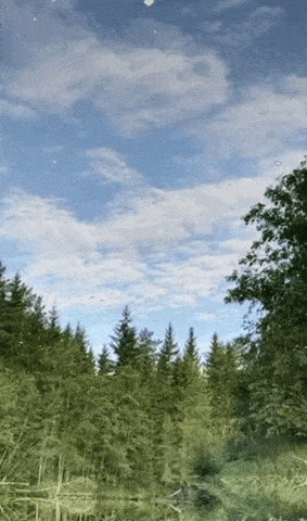 daily-gifdump-3408-27.gif