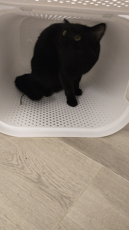 IMG 20251118 202105848