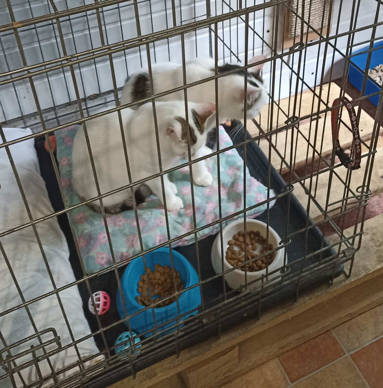 изображение_viber_2022-07-27_19-08-04-744