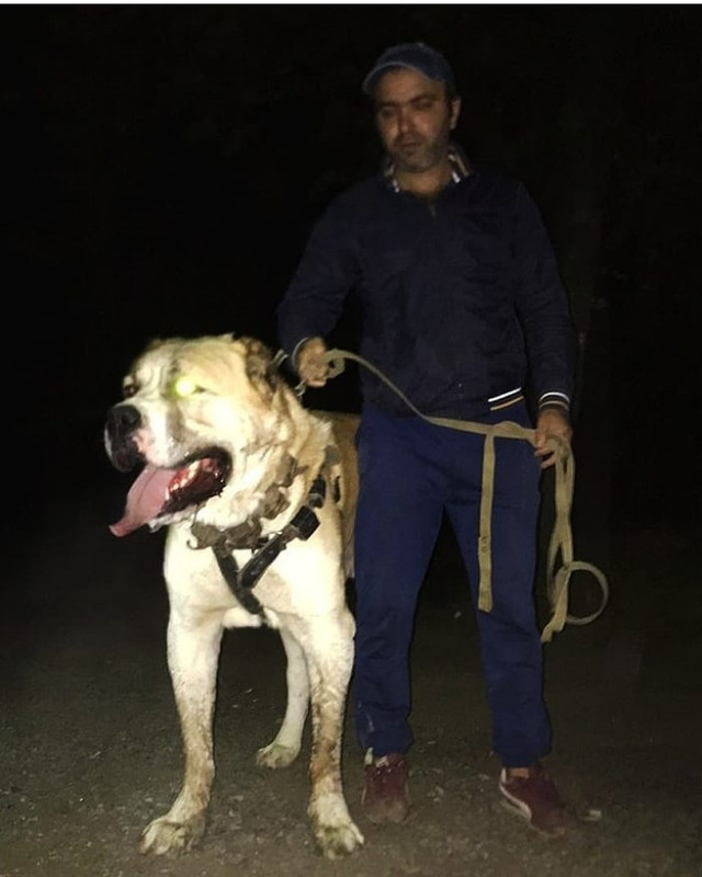 IMG_20201030_172217 - копия (2)