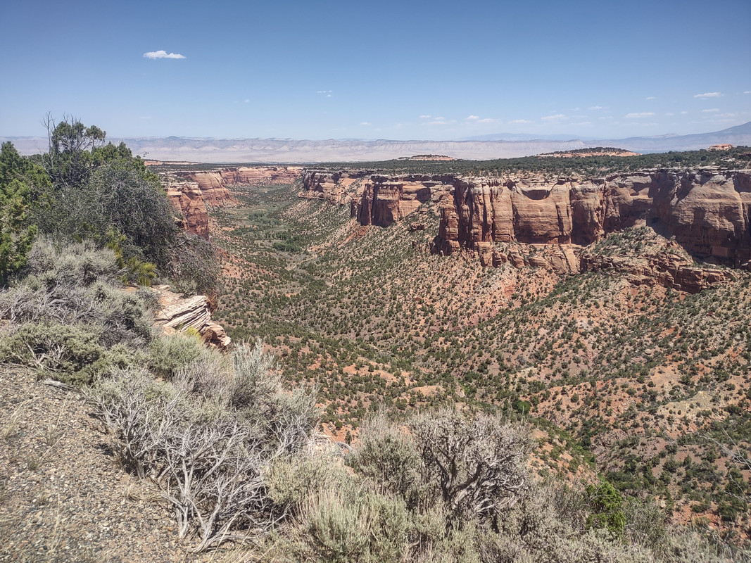 IMG_20250620_131745481_HDR
