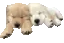 slipixels