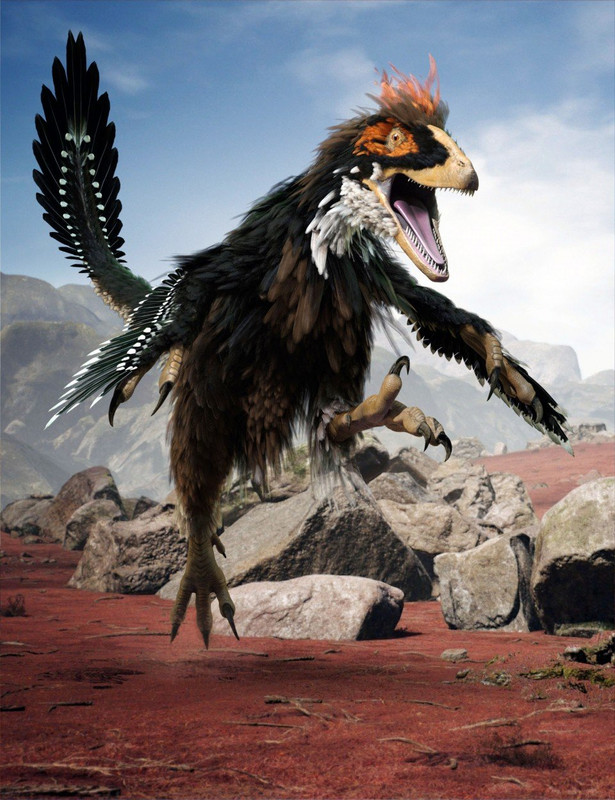 deinonychus feathers