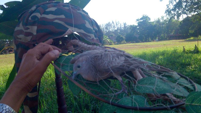 Taman Sejati Indah 080613 (1)