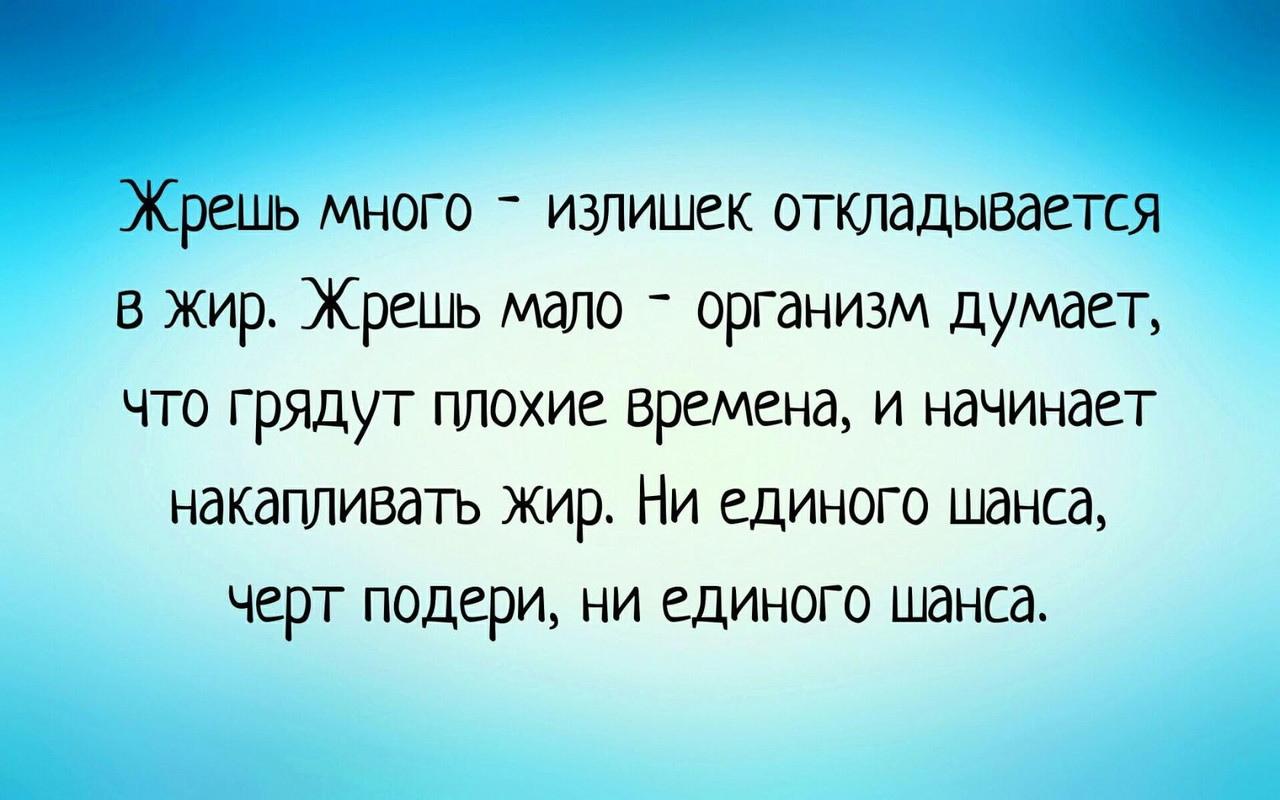Жрёшь много - излишек откладывается в жир