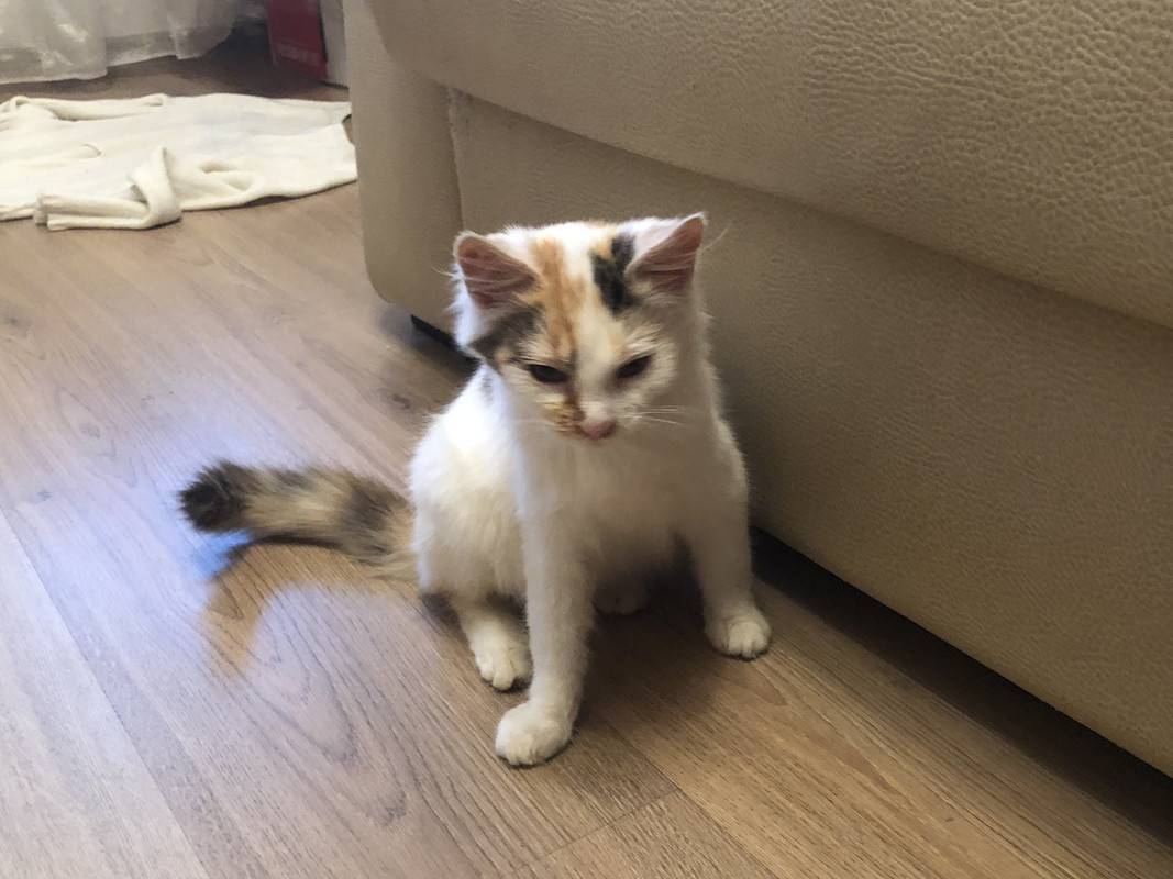 D89EBF6F-A3B3-4080-B59D-EA205C0FE3BD