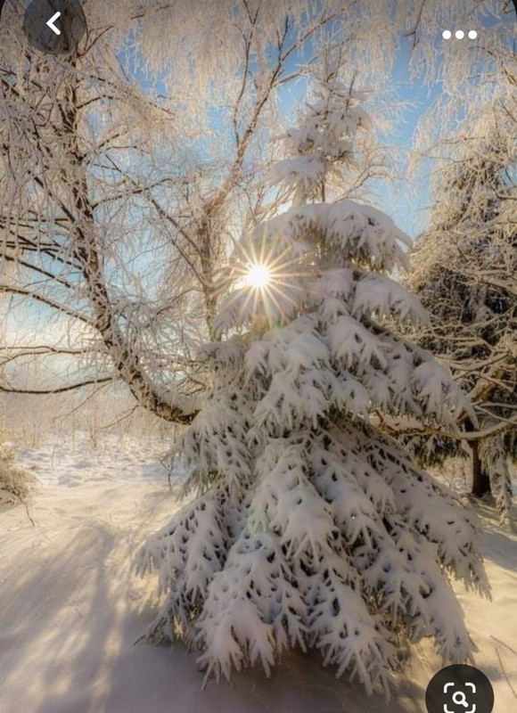 Screenshot_20231102_002122_Pinterest