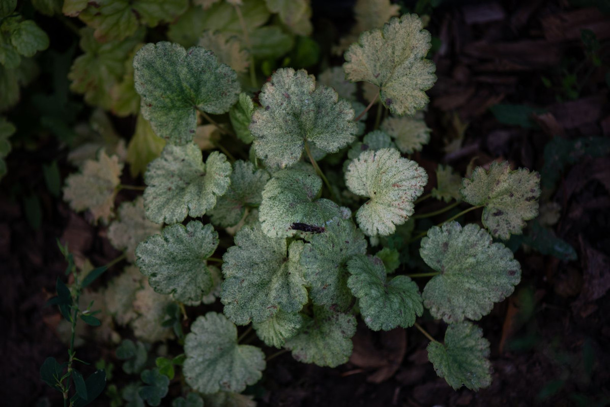 IMG-cb5d241b33b6a8d9140acee0558fa8c5-V