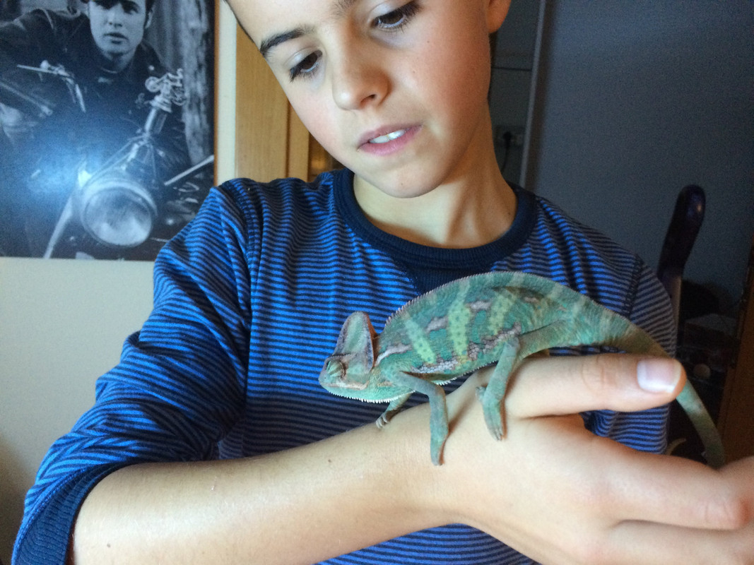 7F70B40F-C3ED-4EAC-9967-6C84BF041FAF