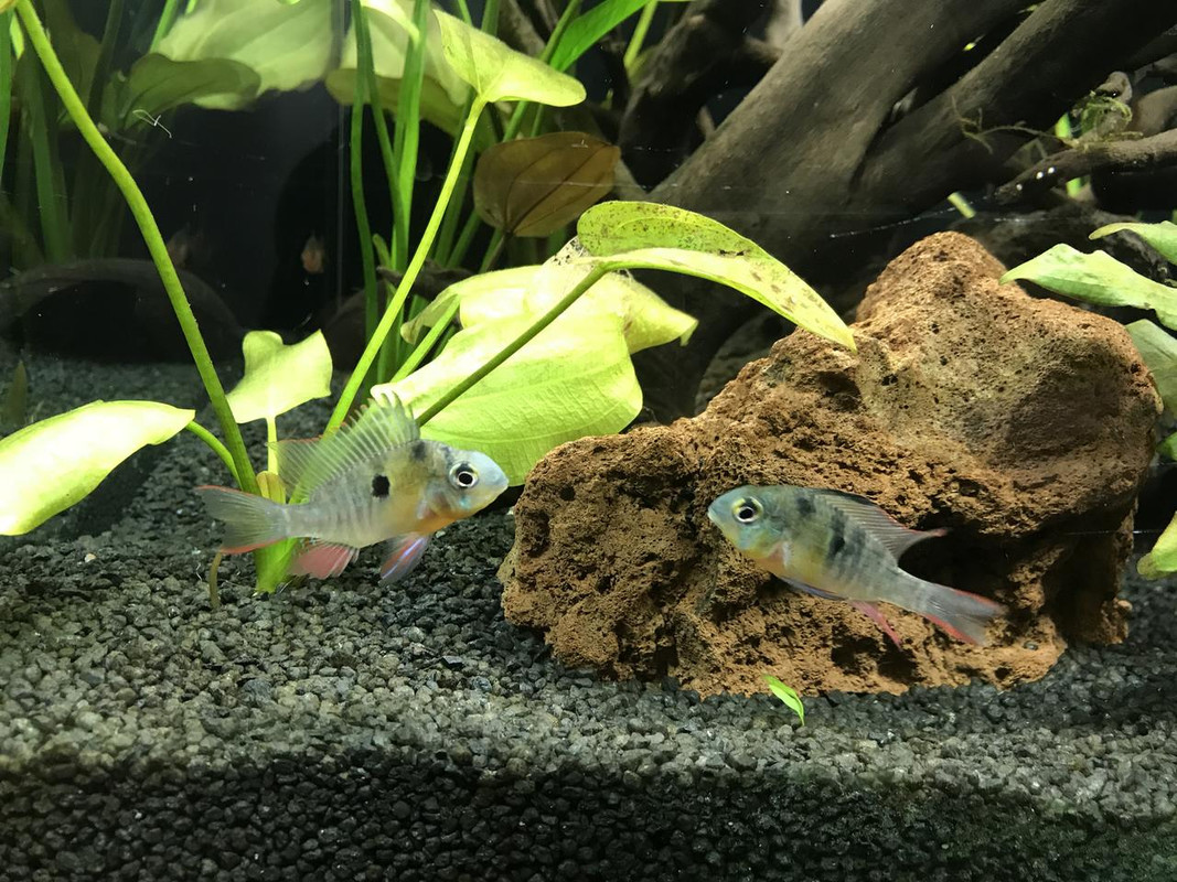 B4D58573-BD2D-465F-A9E9-E684094BDF99