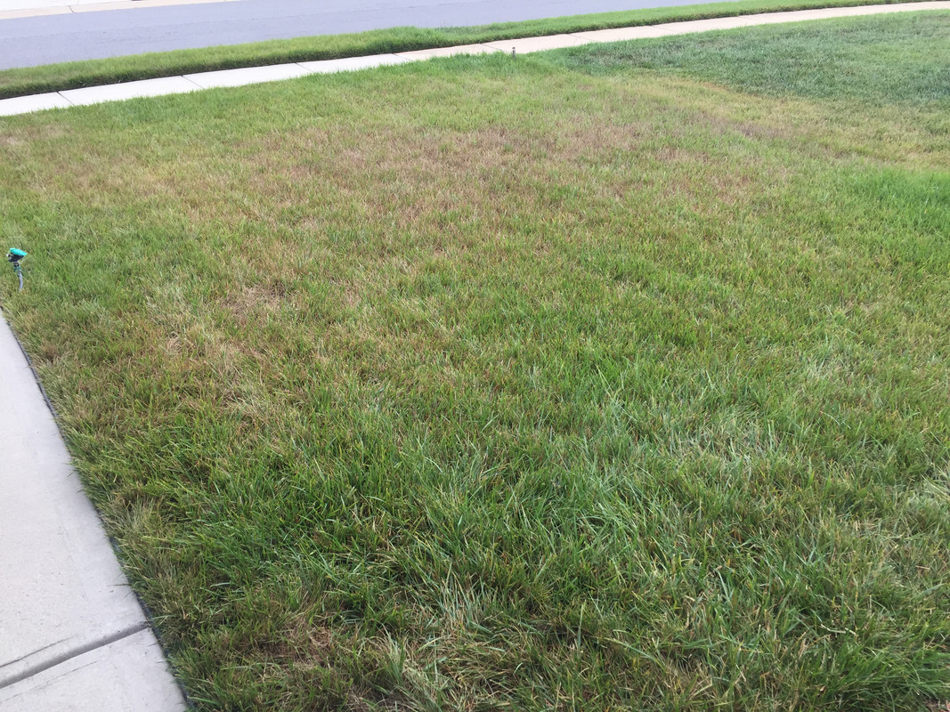 14A5D1FB-EBFE-488E-A2F5-2E4FEE501A24