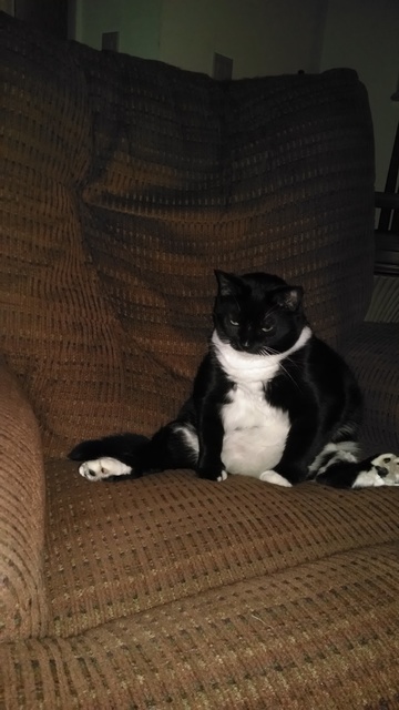 IMG_20170630_034753193