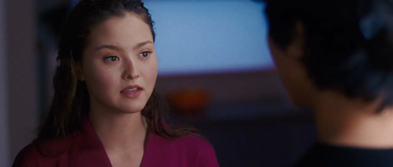 DOA: Dead or Alive 2006 BluRay [Hindi + Tamil + Telugu + English] 480p 720p ESub Screenshot