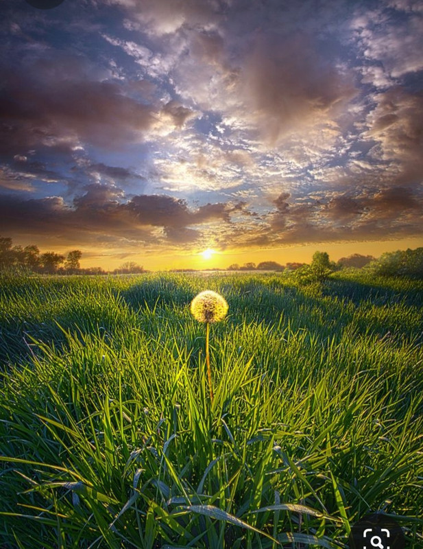 Screenshot_20231014_212731_Pinterest