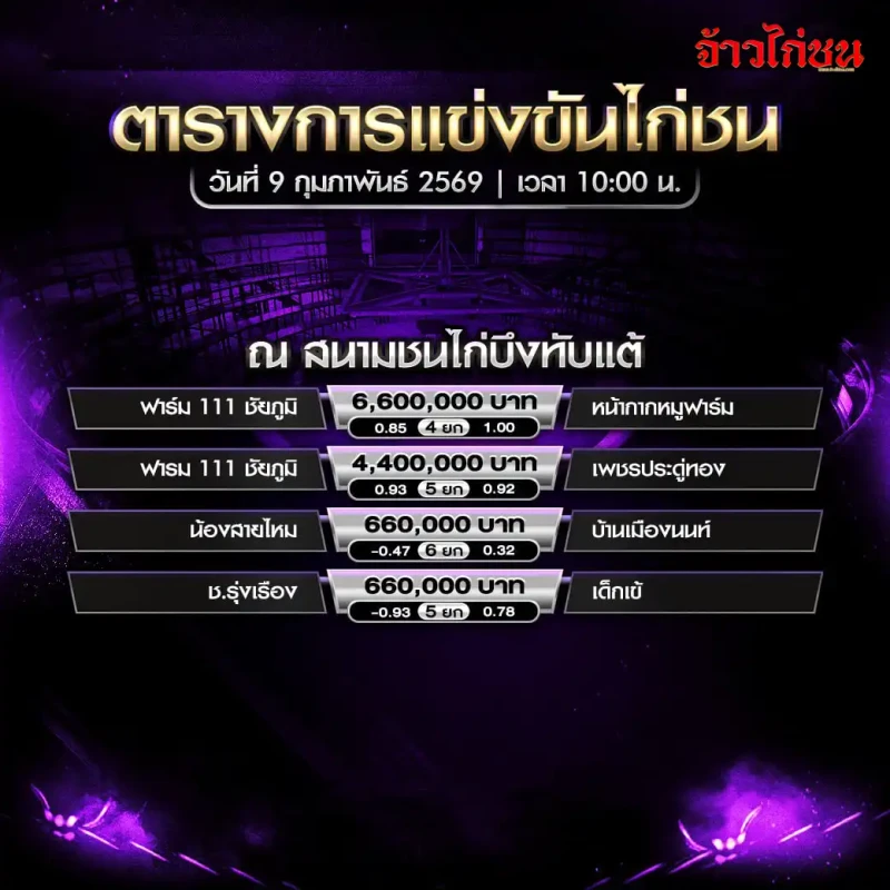 โปรแกรมไก่ชน สนามชนไก่บึงทับแต้ วันที่ 9 กุมภาพันธ์ 2569